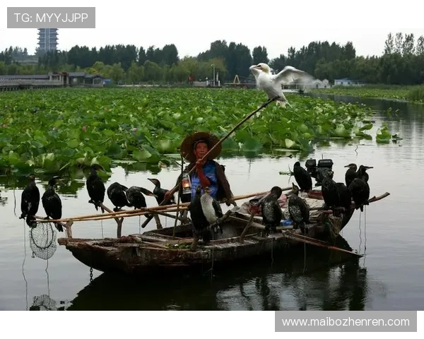 如何在ag捕鱼官方网站上快速注册账号并开启精彩捕鱼之旅