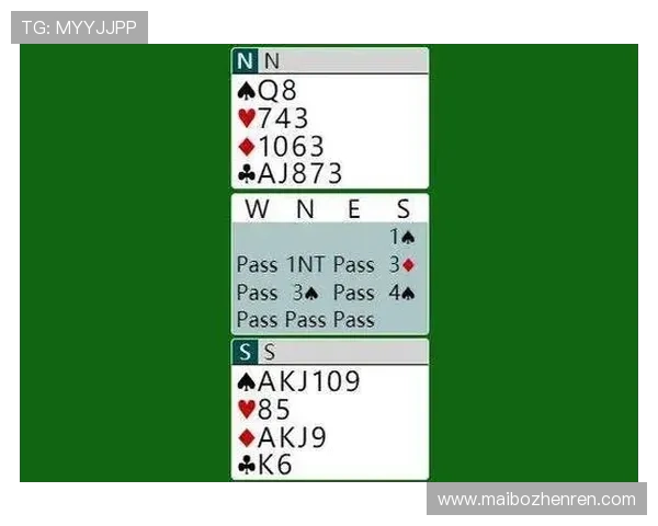 百家乐游戏规则图解全攻略，帮助玩家理解规则细节实现稳健赢钱策略