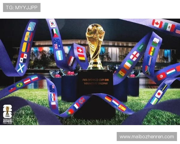 2026年世界杯挪威法国比赛场馆容量介绍及其对赛事组织的影响分析